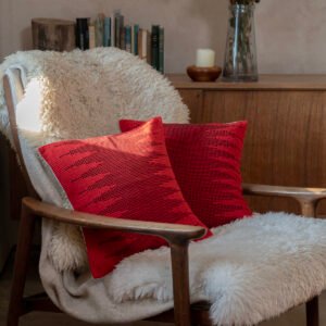 Handwoven Cushion in Red & Black